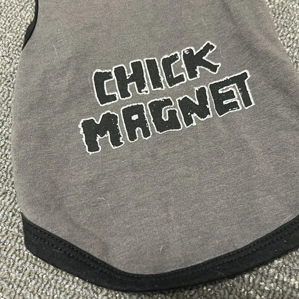 Dog Hoodie